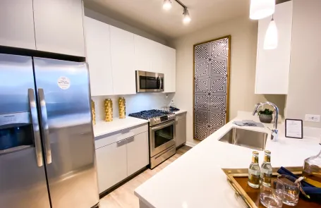 1 Bedroom South Loop Apartment