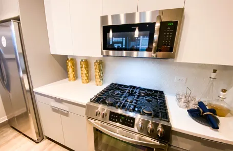 2 Bedroom South Loop Apartment