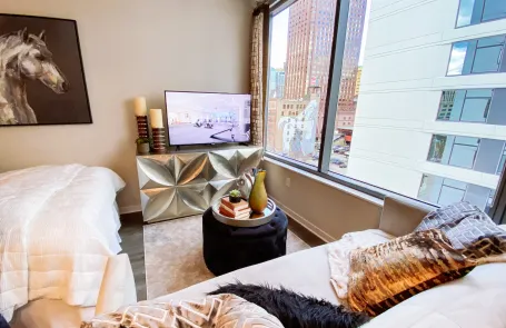 1 Bedroom South Loop Apartment