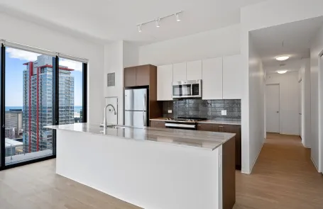 2 Bedroom South Loop Apartment