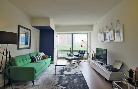 1 Bedroom South Loop Apartment