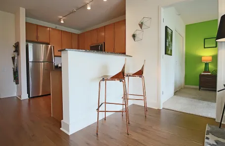2 Bedroom South Loop Apartment