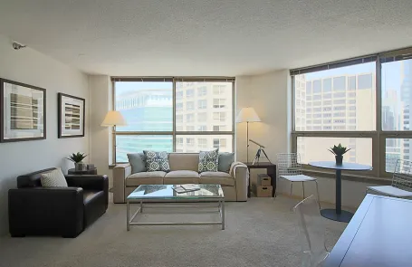 1 Bedroom West Loop Apartment