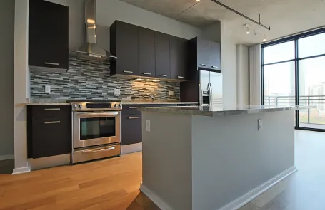 1 Bedroom South Loop Apartment