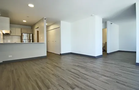 1 Bedroom Streeterville Apartment