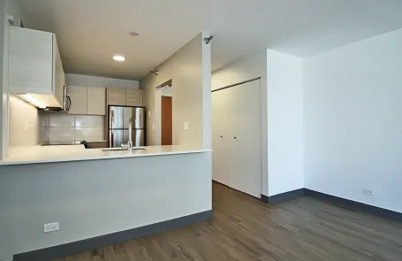 Studio Streeterville Apartment