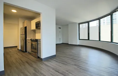 1 Bedroom Streeterville Apartment