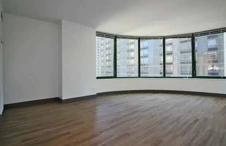 2 Bedroom Streeterville Apartment