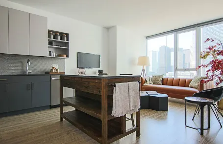 1 Bedroom South Loop Apartment