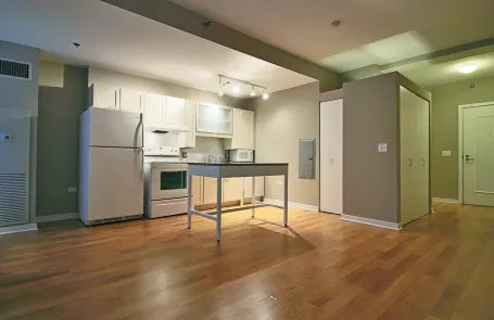 Studio Chicago Loop Apartment