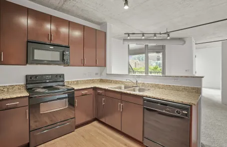 1 Bedroom South Loop Apartment