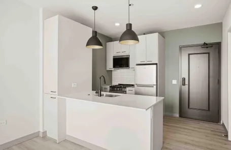 1 Bedroom Lincoln Park Apartment
