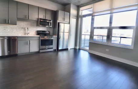 1 Bedroom South Loop Apartment