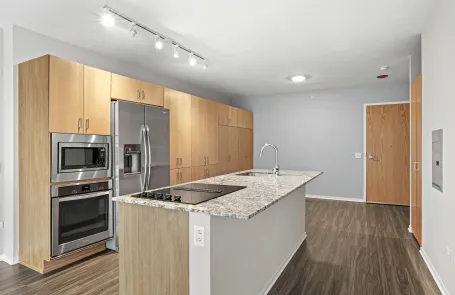 1 Bedroom Streeterville Apartment