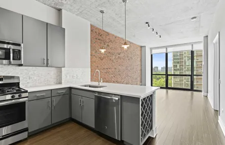 1 Bedroom South Loop Apartment
