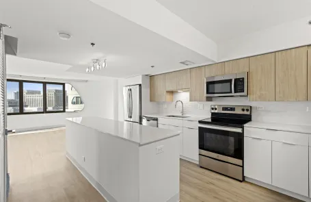 3 Bedroom South Loop Apartment