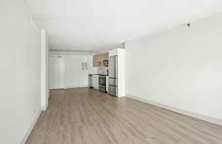 1 Bedroom South Loop Apartment