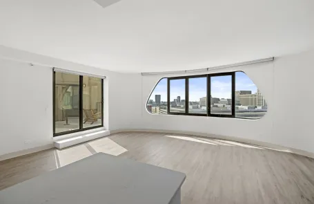 2 Bedroom South Loop Apartment
