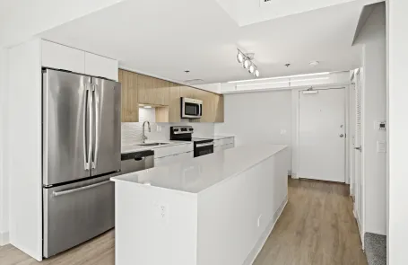 2 Bedroom South Loop Apartment