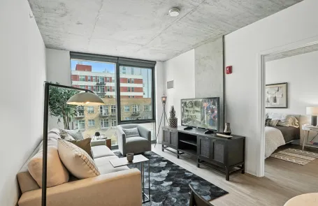 1 Bedroom South Loop Apartment